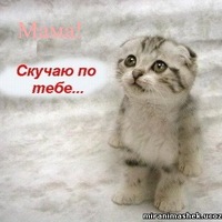 Стихи для любимой тети Стихи для любимой тети